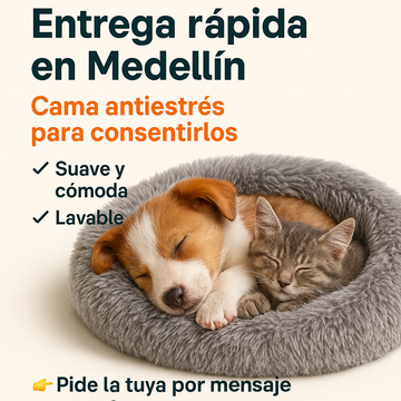 🐾 Cama Antiestrés: El Refugio Perfecto para tu Mascota 😍
